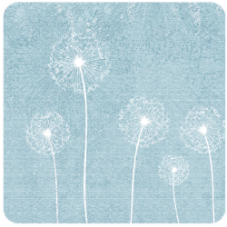 Dandelion Blue Dandelion Blue