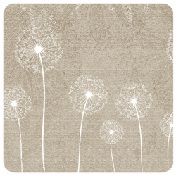 Dandelion Earth Dandelion Earth