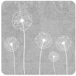 Dandelion Grey Dandelion Grey
