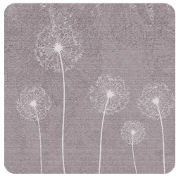 Dandelion Lilac Dandelion Lilac