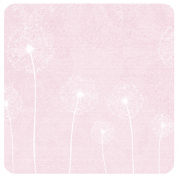 Dandelion Petal Dandelion Petal